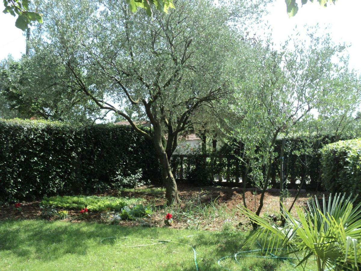 ביוגראד נה מורו Apartment Martina מראה חיצוני תמונה