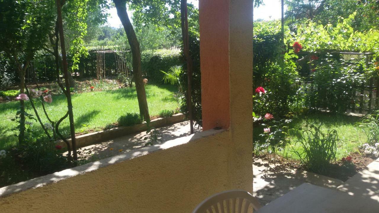 ביוגראד נה מורו Apartment Martina מראה חיצוני תמונה